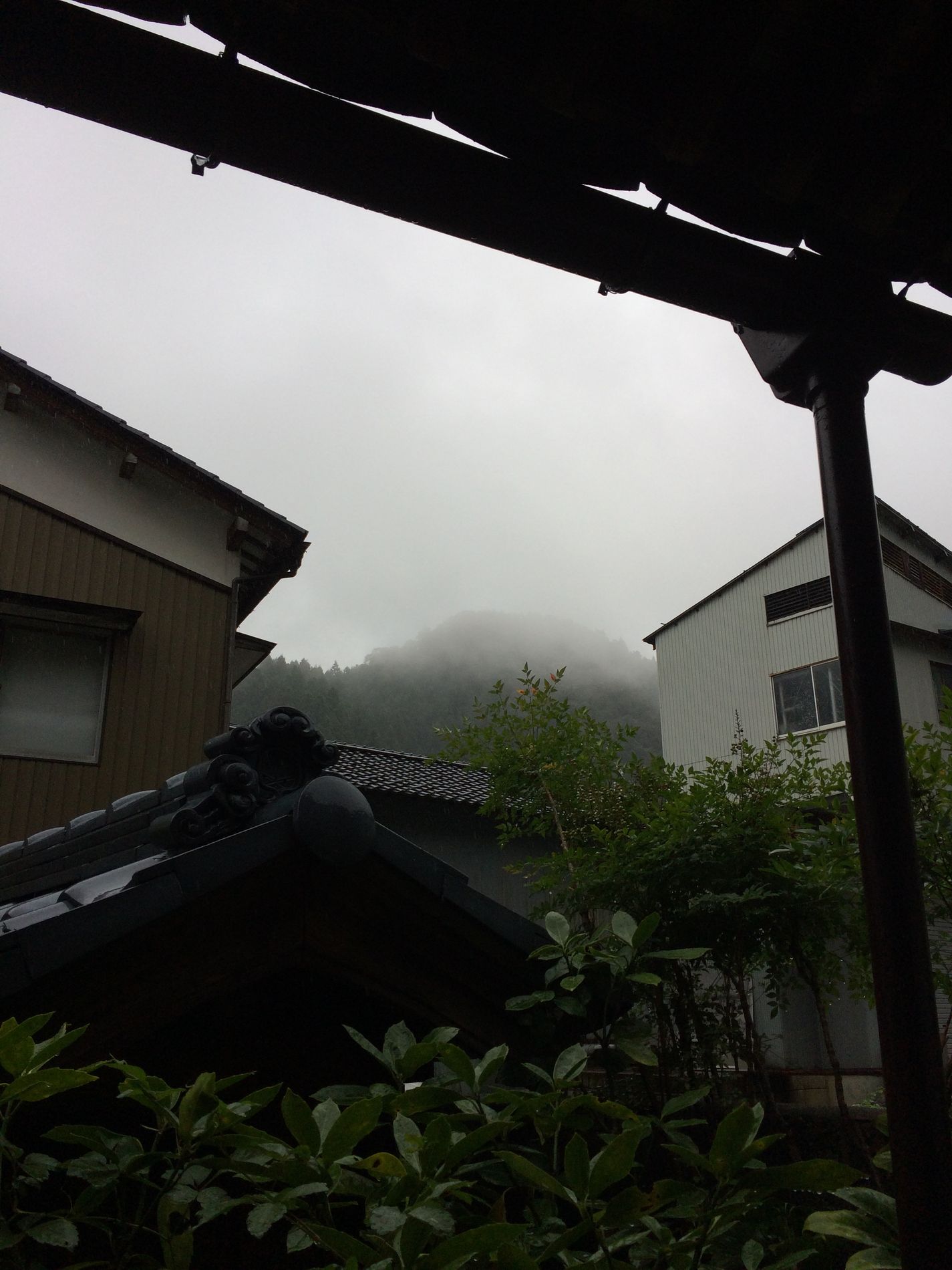 Pluis à la maison Nishino
