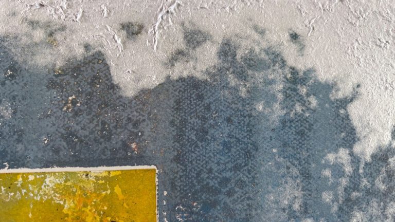 Monotype dans Papier / Monotype in Paper / 紙のモノタイプ / Monotypia in Charta