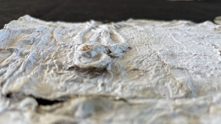 Papiers dans Papier / Papers in Papers / 紙の中の紙 / Chartae in Charta