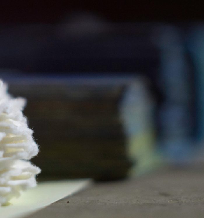 Le Corps du Papier / The paper’s body