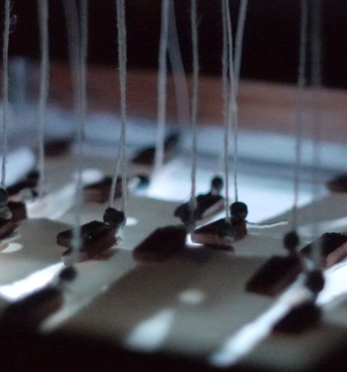 Causalité et temporalités