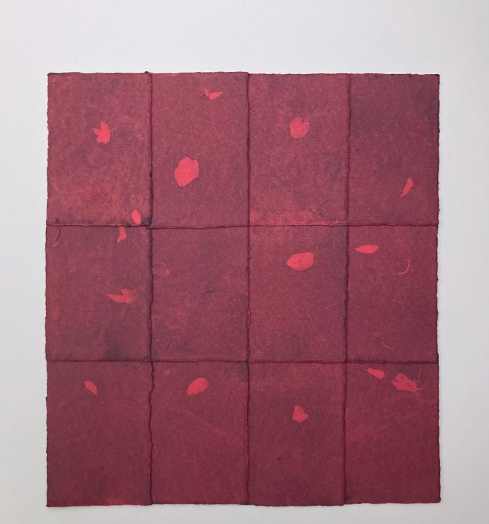 Rx-cerisier2024-4ix3i