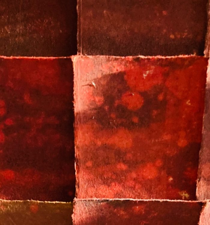 Ran11 -Un Long Chemin