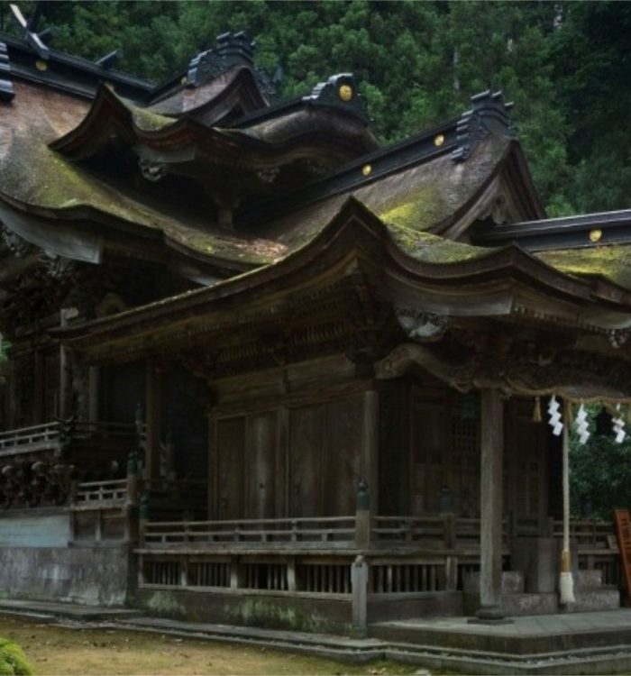 Imadate art Field & Echizen