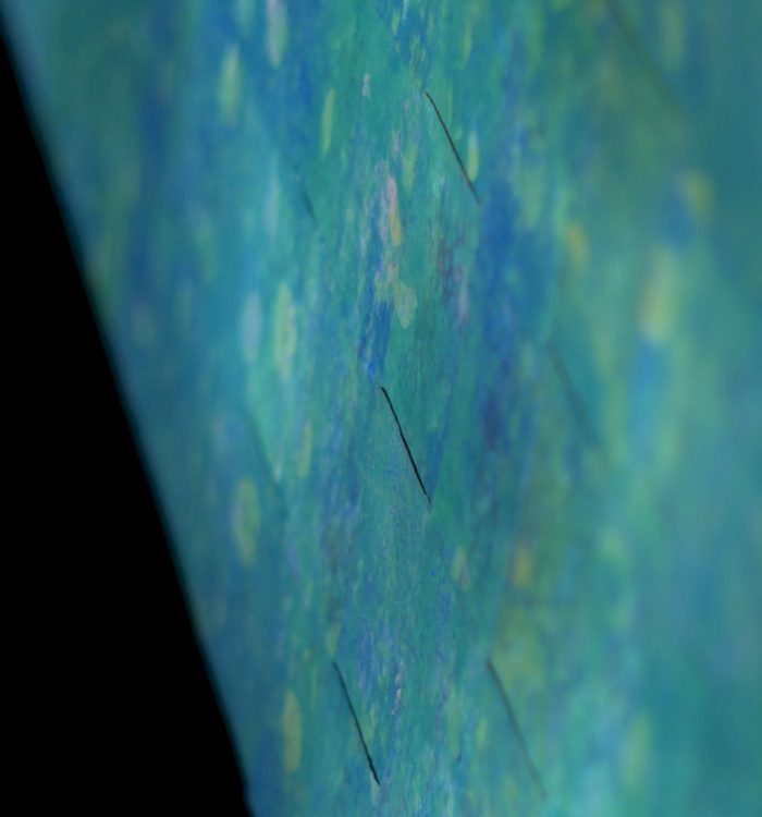 The Ran12 Story -Sea