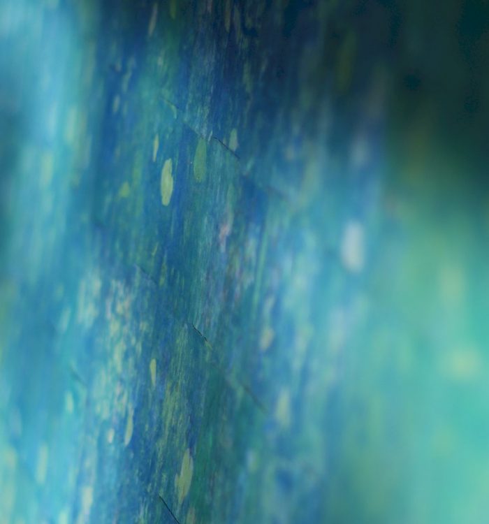 L&rsquo;Histoire de Ran12 -La Mer