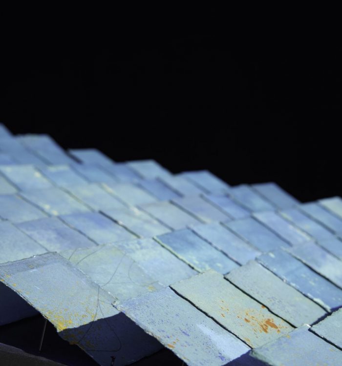 Poème des Sauterelles / Poem of the locusts – Ran7.1